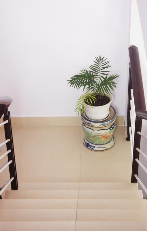 דה לאט Tree House Hostel מראה חיצוני תמונה