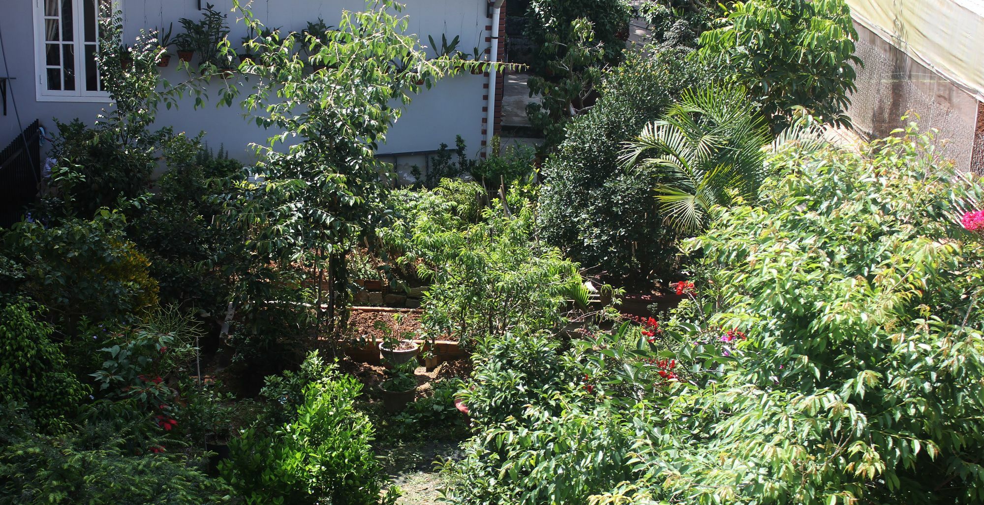 דה לאט Tree House Hostel מראה חיצוני תמונה